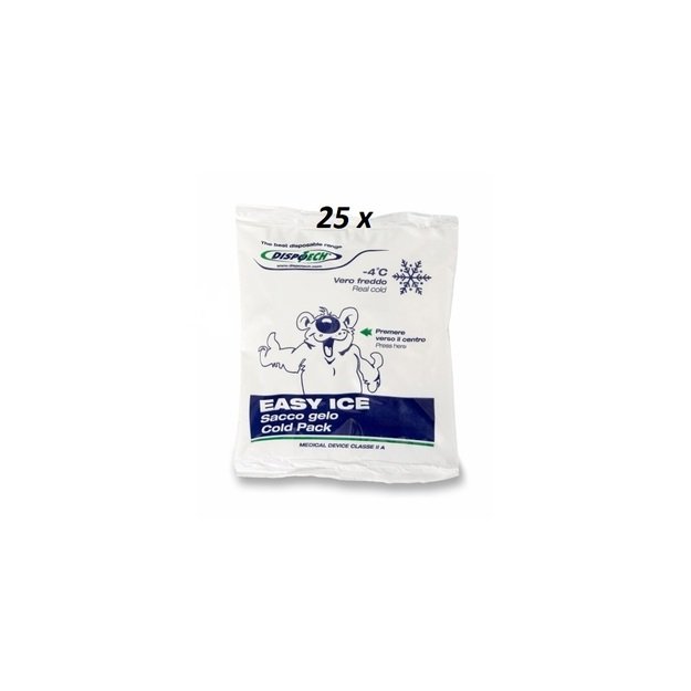 25 pcs. EASY ICE cooler bag with plastic surface